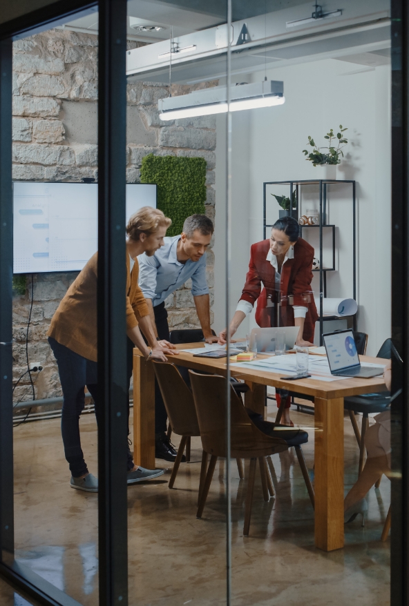 Expertos en Odoo